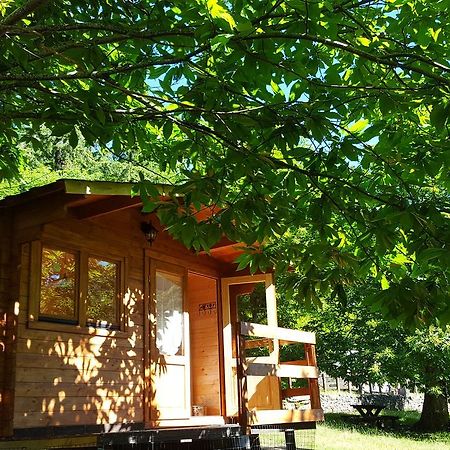 Camping كامالدولى المظهر الخارجي الصورة