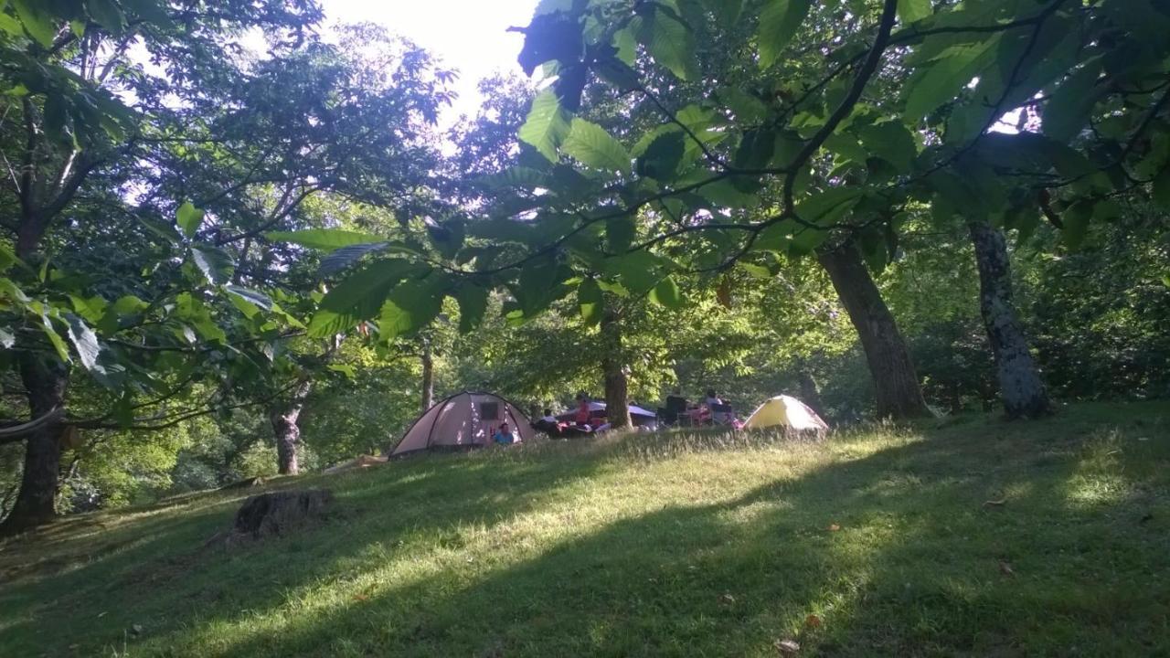 Camping كامالدولى المظهر الخارجي الصورة