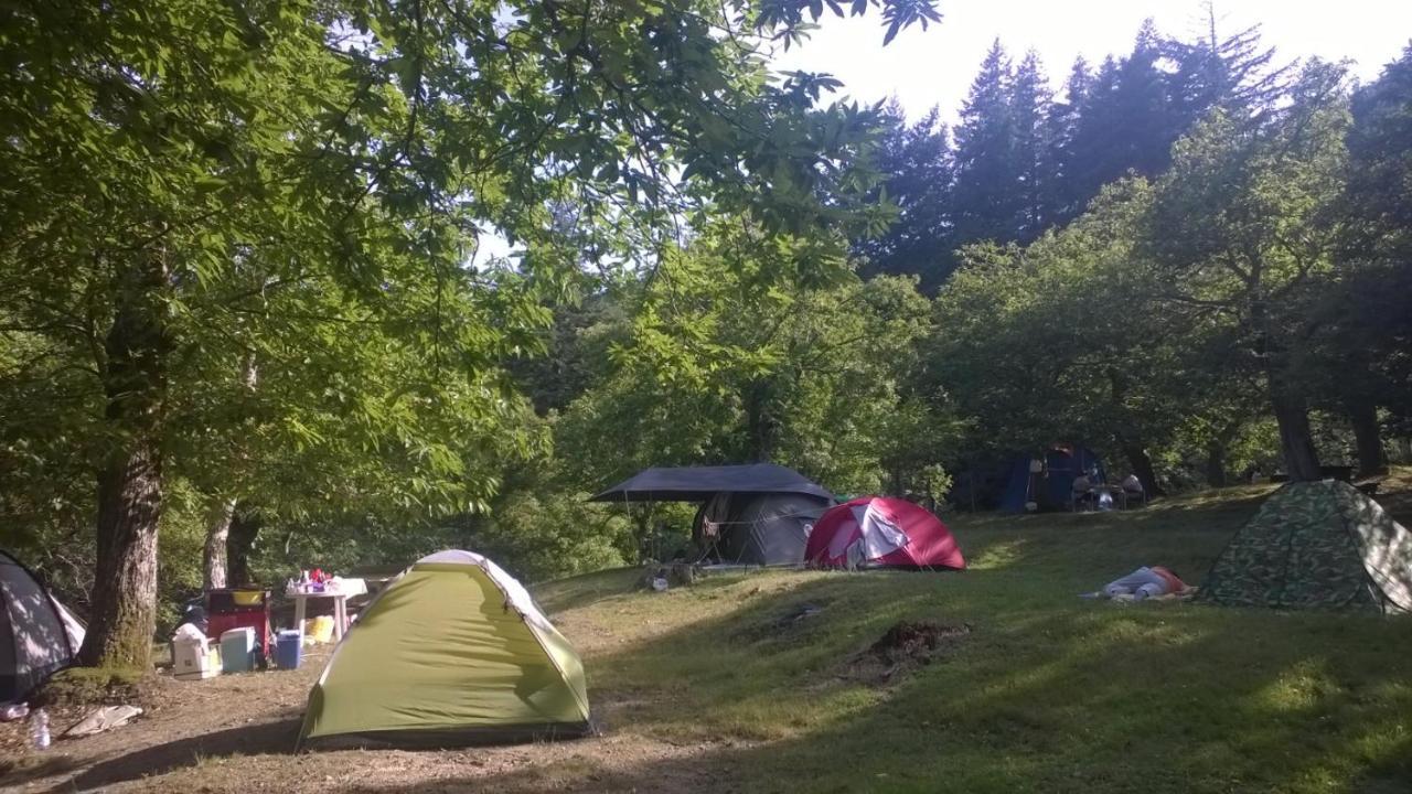 Camping كامالدولى المظهر الخارجي الصورة