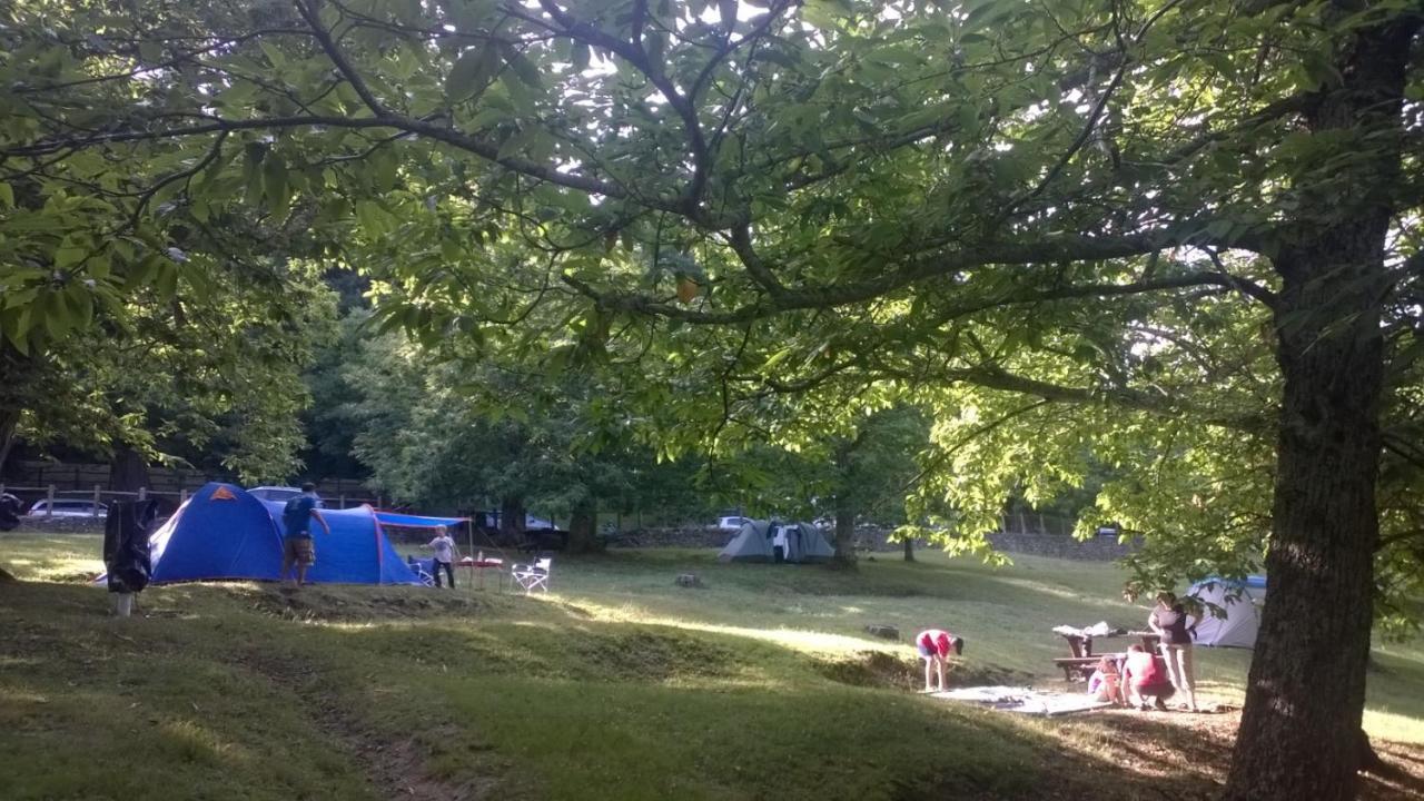 Camping كامالدولى المظهر الخارجي الصورة