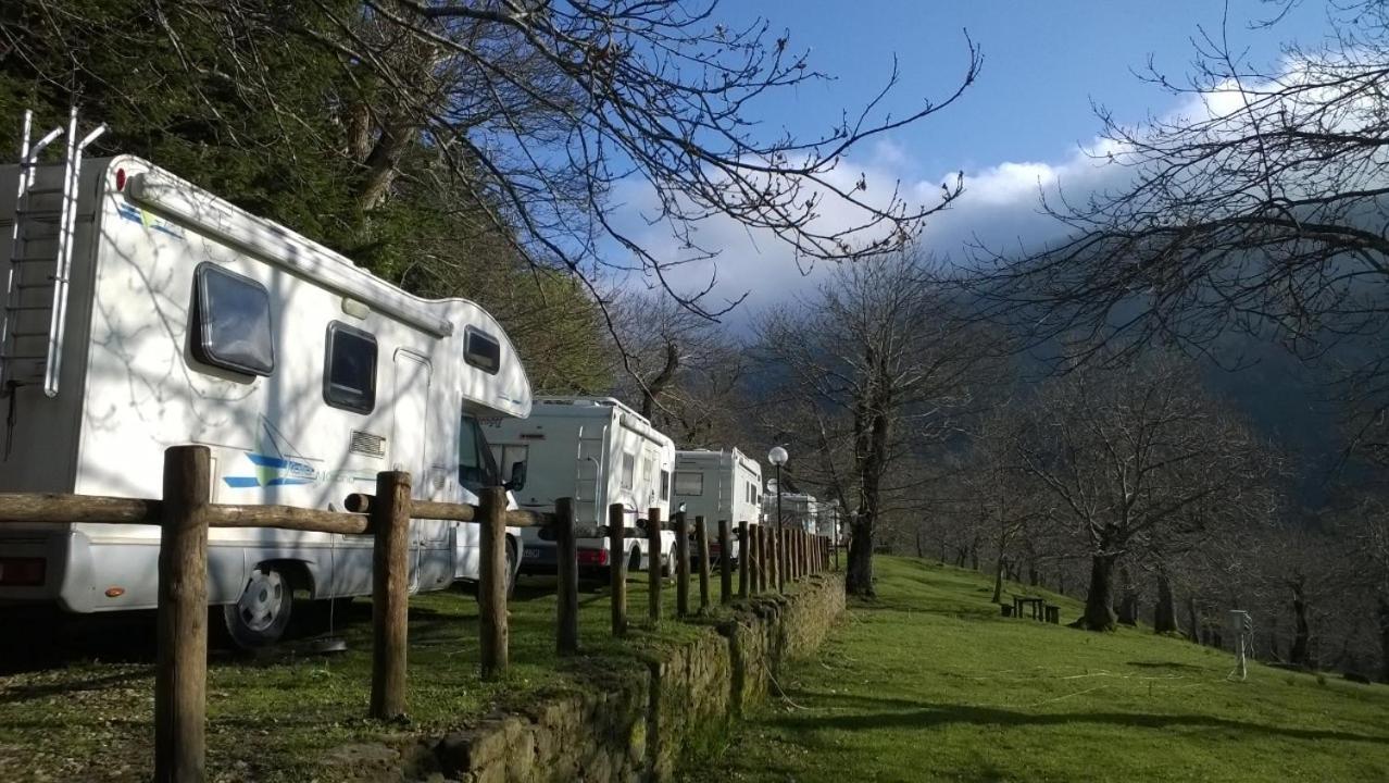 Camping كامالدولى المظهر الخارجي الصورة