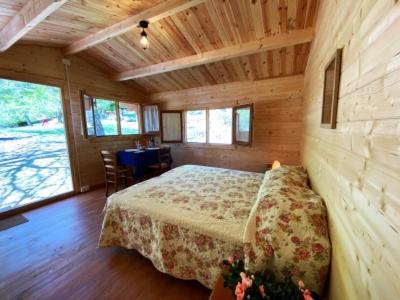 Camping كامالدولى المظهر الخارجي الصورة