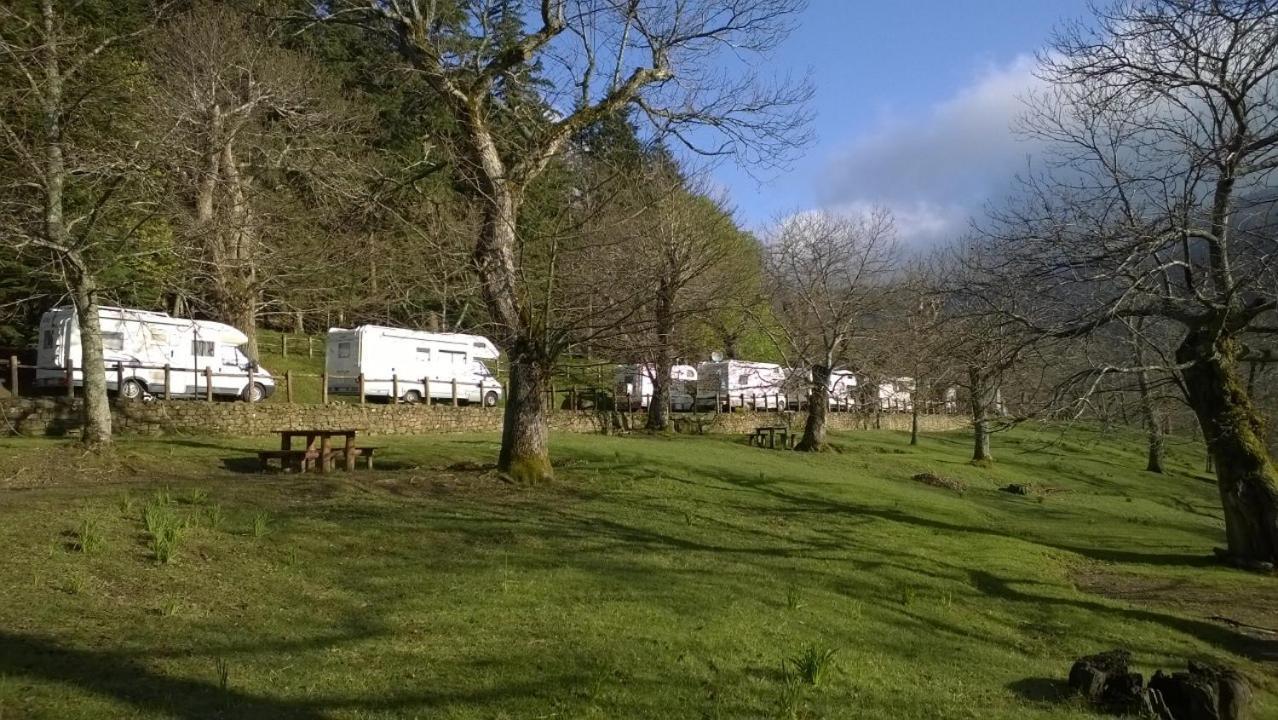 Camping كامالدولى المظهر الخارجي الصورة