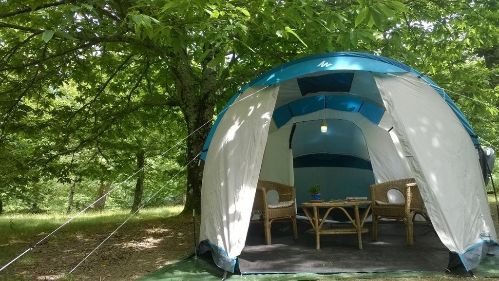 Camping كامالدولى الغرفة الصورة