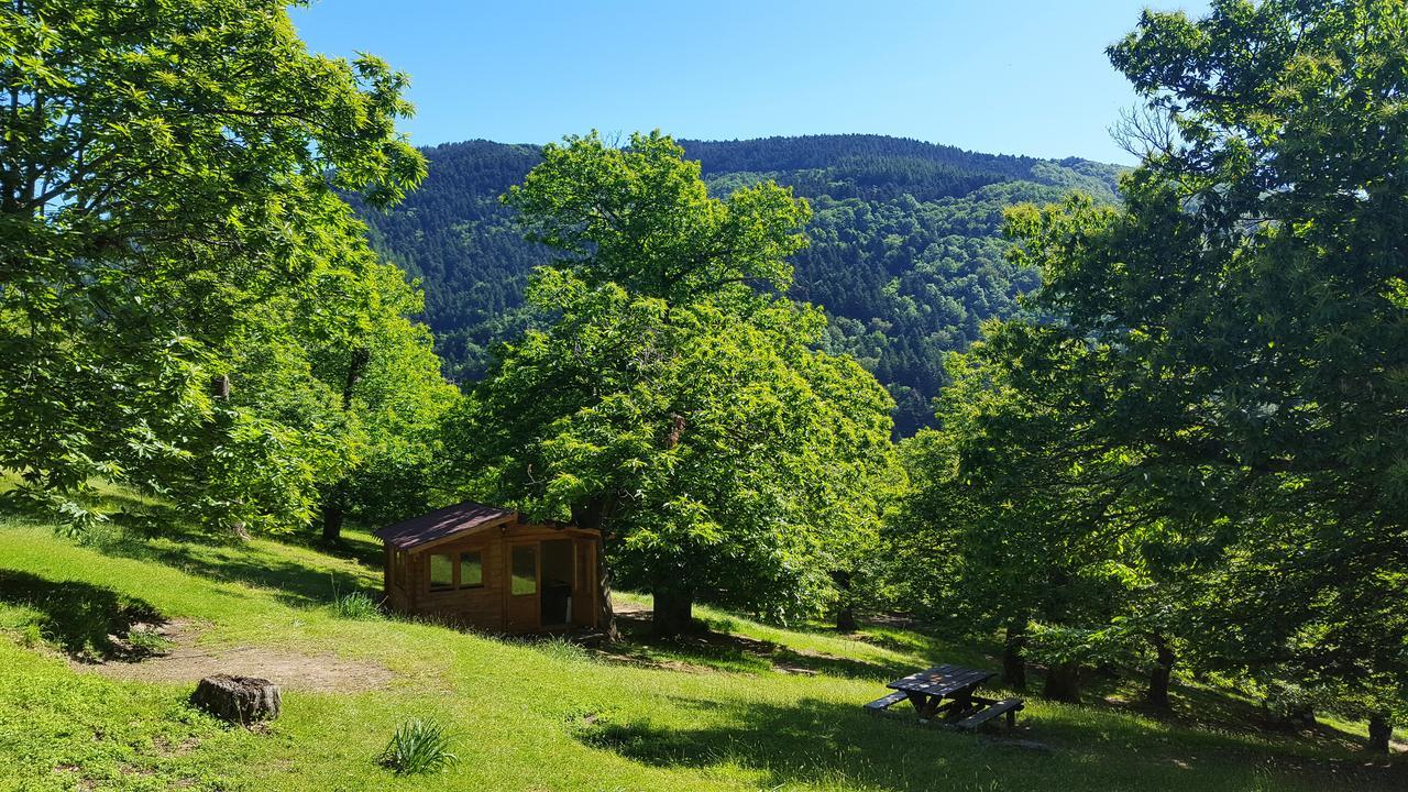 Camping كامالدولى المظهر الخارجي الصورة