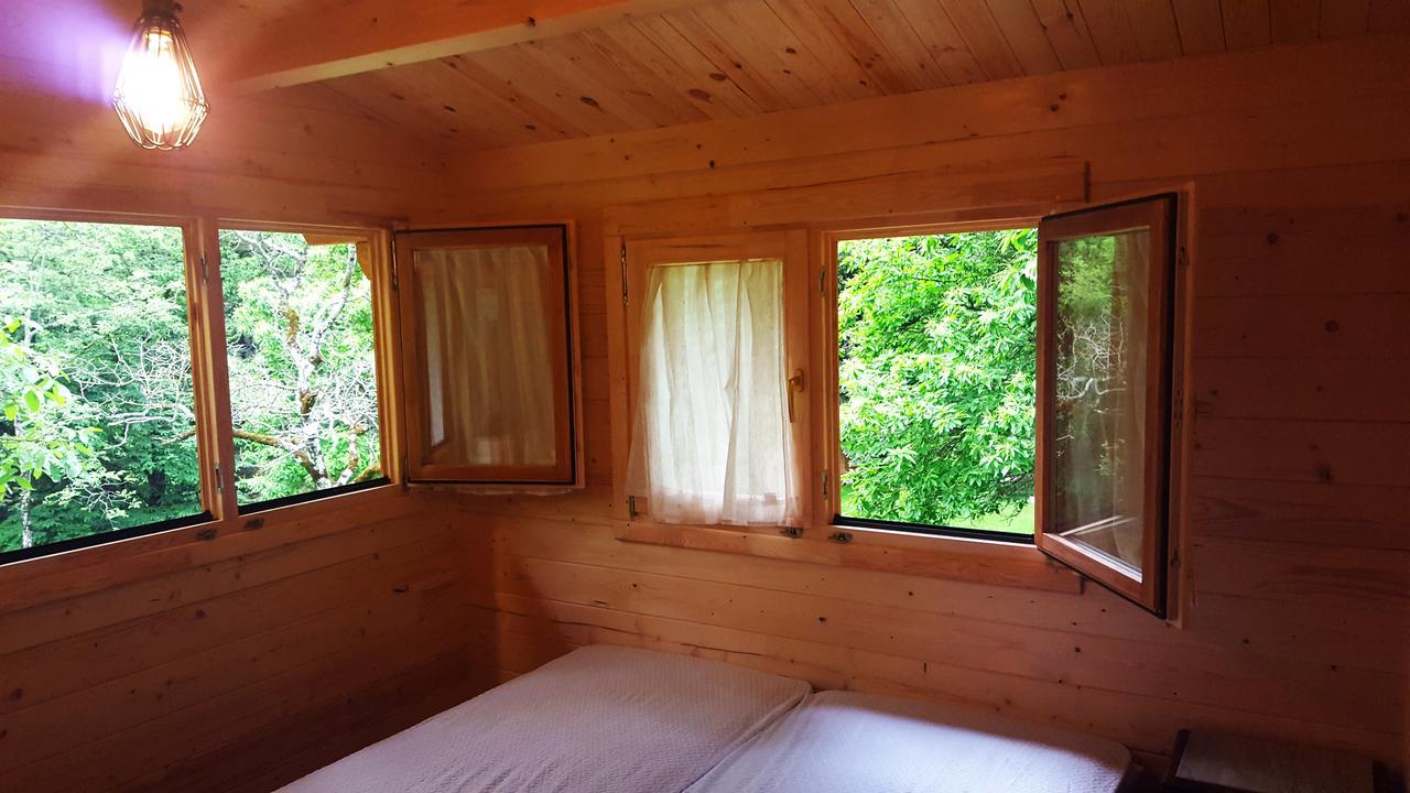 Camping كامالدولى المظهر الخارجي الصورة