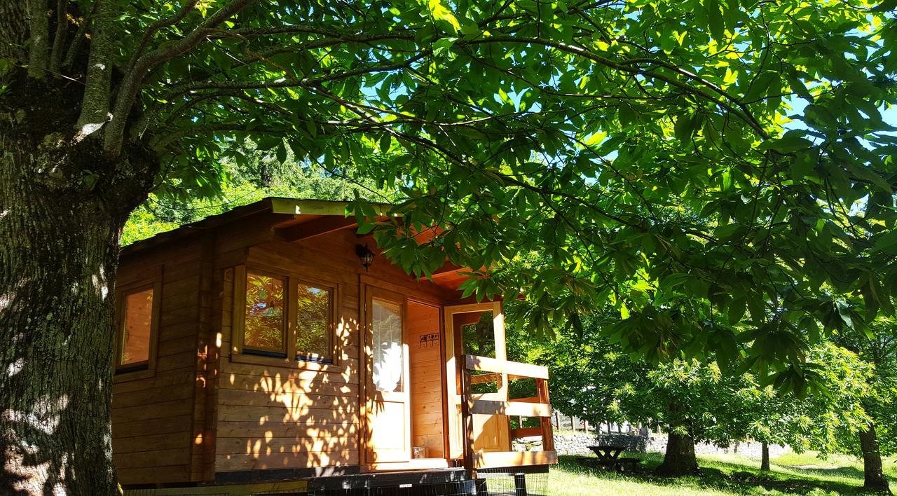 Camping كامالدولى المظهر الخارجي الصورة