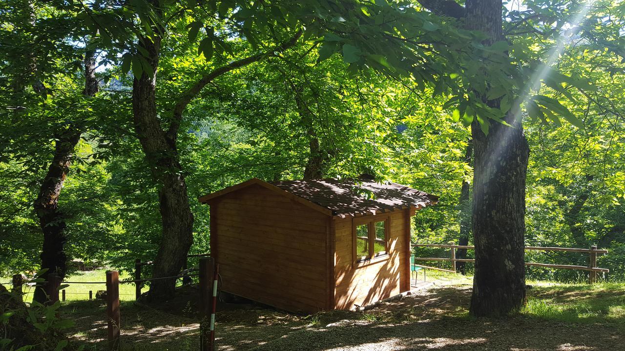 Camping كامالدولى المظهر الخارجي الصورة